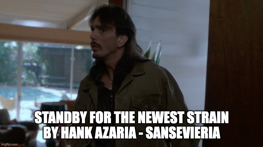 Homegrown Strain | STANDBY FOR THE NEWEST STRAIN BY HANK AZARIA - SANSEVIERIA | image tagged in hank azaria | made w/ Imgflip meme maker