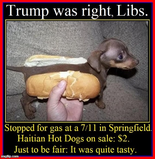 Actual Untouched Photographic PROOF | image tagged in vince vance,memes,haitian,illegal immigrants,eating dogs,hot dogs | made w/ Imgflip meme maker