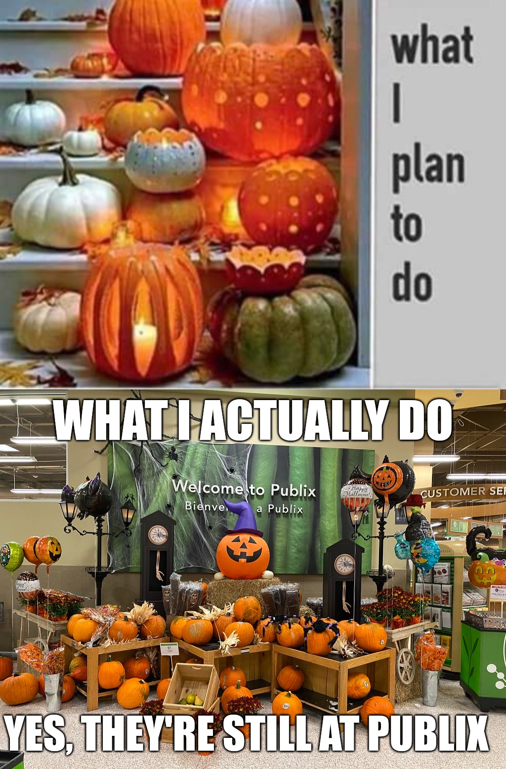 Good intentions | WHAT I ACTUALLY DO; YES, THEY'RE STILL AT PUBLIX | image tagged in halloween,pumpkins | made w/ Imgflip meme maker