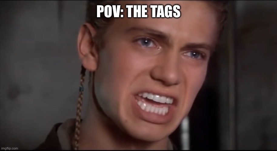 Not Just the Men but the Women and the Children Too | POV: THE TAGS | image tagged in not just the men but the women and the children too | made w/ Imgflip meme maker