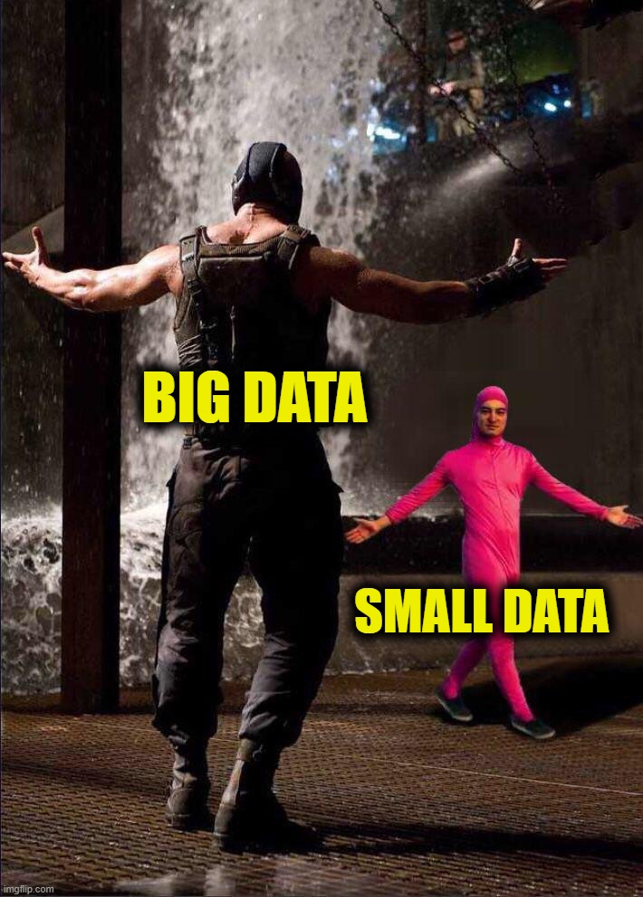 Pink Guy vs Bane | BIG DATA; SMALL DATA | image tagged in pink guy vs bane | made w/ Imgflip meme maker