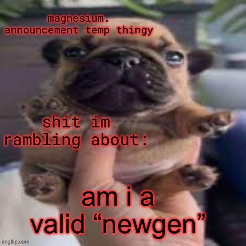 honestly, im not sure what u guys are labeling newgen | am i a valid “newgen” | image tagged in pug temp | made w/ Imgflip meme maker
