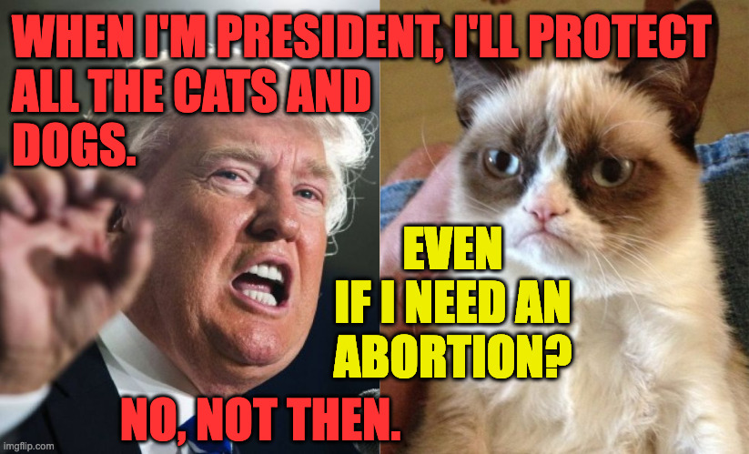 It's the same deal that everyone would get. | WHEN I'M PRESIDENT, I'LL PROTECT
ALL THE CATS AND
DOGS. EVEN
IF I NEED AN
ABORTION? NO, NOT THEN. | image tagged in memes,grumpy cat,trump | made w/ Imgflip meme maker