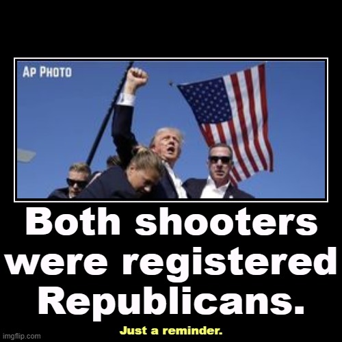 Both shooters were registered Republicans. | Just a reminder. | image tagged in funny,demotivationals,trump,liar,republicans,second amendment | made w/ Imgflip demotivational maker