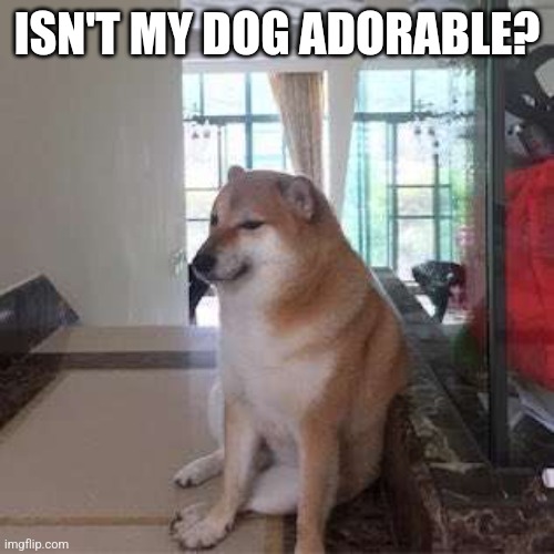 ISN'T MY DOG ADORABLE? | made w/ Imgflip meme maker