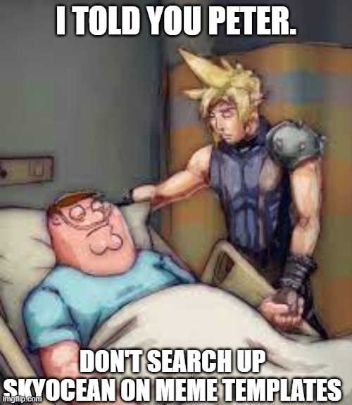 I Told You Peter | I TOLD YOU PETER. DON'T SEARCH UP SKYOCEAN ON MEME TEMPLATES | image tagged in i told you peter | made w/ Imgflip meme maker