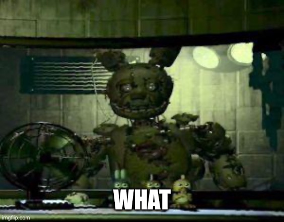 FNAF Springtrap in window | WHAT | image tagged in fnaf springtrap in window | made w/ Imgflip meme maker