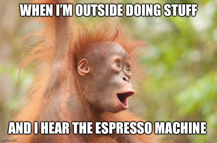 Coffee | WHEN I’M OUTSIDE DOING STUFF; AND I HEAR THE ESPRESSO MACHINE | image tagged in funny | made w/ Imgflip meme maker