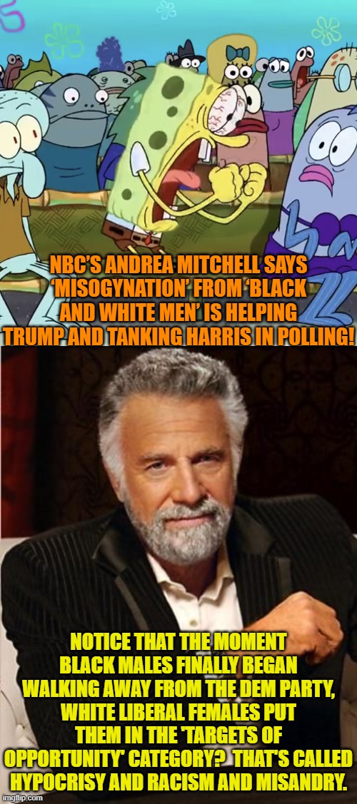 Now you see what they REALLY thought of you all along. | NBC’S ANDREA MITCHELL SAYS ‘MISOGYNATION’ FROM ‘BLACK AND WHITE MEN’ IS HELPING TRUMP AND TANKING HARRIS IN POLLING! NOTICE THAT THE MOMENT BLACK MALES FINALLY BEGAN WALKING AWAY FROM THE DEM PARTY, WHITE LIBERAL FEMALES PUT THEM IN THE 'TARGETS OF OPPORTUNITY' CATEGORY?  THAT'S CALLED HYPOCRISY AND RACISM AND MISANDRY. | image tagged in yep | made w/ Imgflip meme maker