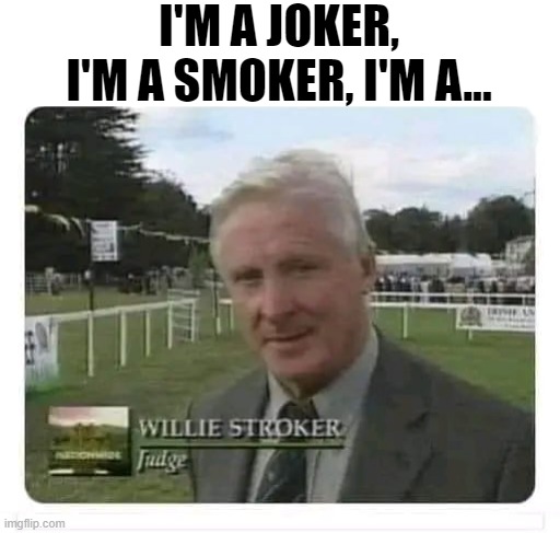 Steve Miller Sang | I'M A JOKER, I'M A SMOKER, I'M A... | image tagged in sex jokes | made w/ Imgflip meme maker