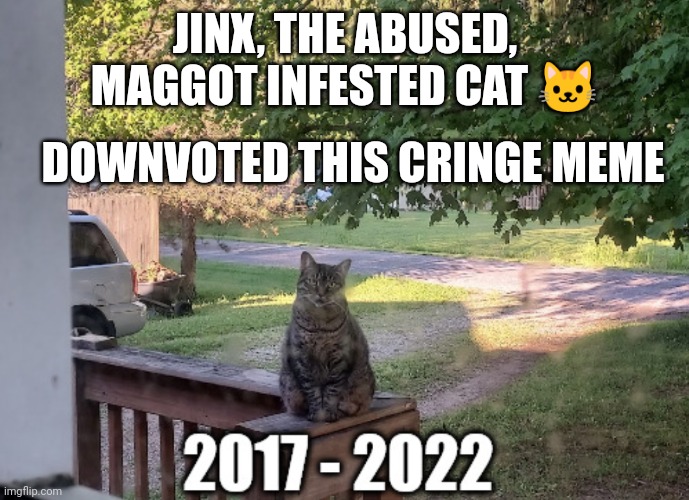 JINX, THE ABUSED, MAGGOT INFESTED CAT ? DOWNVOTED THIS CRINGE MEME | made w/ Imgflip meme maker