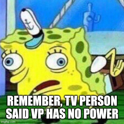 triggerpaul | REMEMBER, TV PERSON SAID VP HAS NO POWER | image tagged in triggerpaul | made w/ Imgflip meme maker