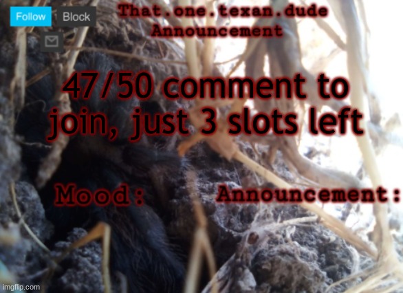 THE that.one.texan.dude announcement template | 47/50 comment to join, just 3 slots left | image tagged in the that one texan dude announcement template | made w/ Imgflip meme maker