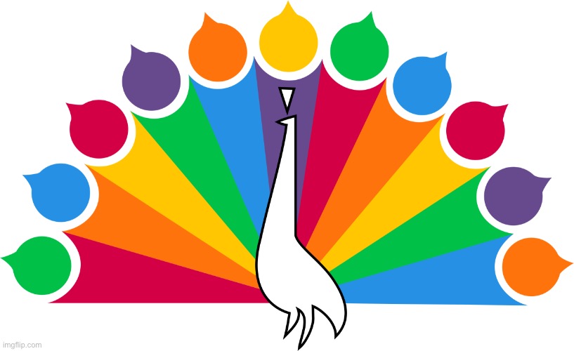Lgbtq peacock | image tagged in nbc peacock | made w/ Imgflip meme maker