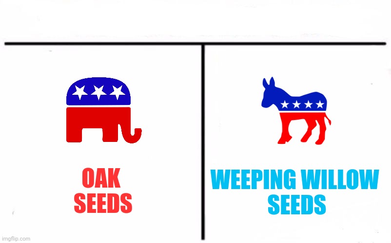 Who Would Win Blank | OAK 
SEEDS WEEPING WILLOW 
SEEDS | image tagged in who would win blank | made w/ Imgflip meme maker