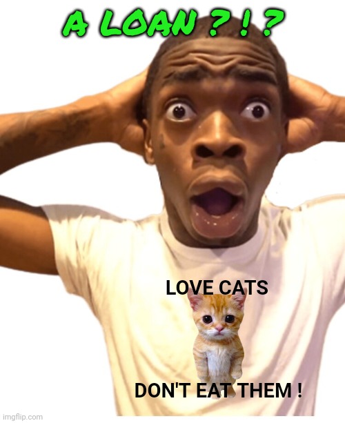 Shocked Black kid | A LOAN ? ! ? LOVE CATS DON'T EAT THEM ! | image tagged in shocked black kid | made w/ Imgflip meme maker