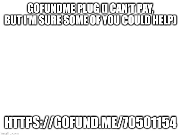 GOFUNDME PLUG (I CAN'T PAY, BUT I'M SURE SOME OF YOU COULD HELP); HTTPS://GOFUND.ME/70501154 | made w/ Imgflip meme maker