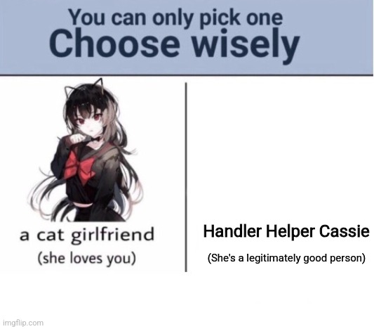 Choose wisely | Handler Helper Cassie (She's a legitimately good person) | image tagged in choose wisely | made w/ Imgflip meme maker