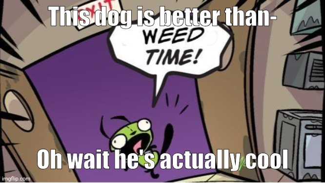 weed time | This dog is better than- Oh wait he's actually cool | image tagged in weed time | made w/ Imgflip meme maker