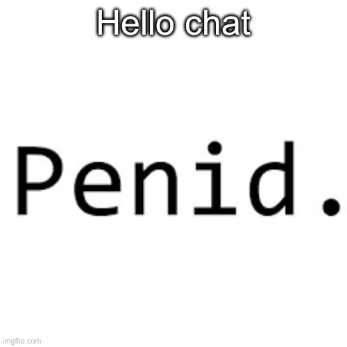 Penid. | Hello chat | image tagged in penid | made w/ Imgflip meme maker