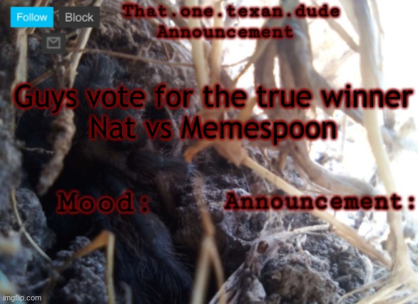 THE that.one.texan.dude announcement template | Guys vote for the true winner
Nat vs Memespoon | image tagged in the that one texan dude announcement template | made w/ Imgflip meme maker