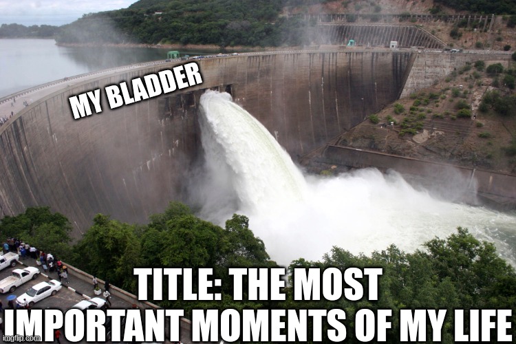 broken water damn | MY BLADDER; TITLE: THE MOST IMPORTANT MOMENTS OF MY LIFE | image tagged in broken water damn | made w/ Imgflip meme maker