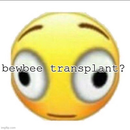 bonk | bewbee transplant? | image tagged in bonk | made w/ Imgflip meme maker