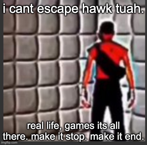 psychotic raider becomes more psychotic | i cant escape hawk tuah. real life, games its all there. make it stop. make it end. | image tagged in scout goes insane | made w/ Imgflip meme maker