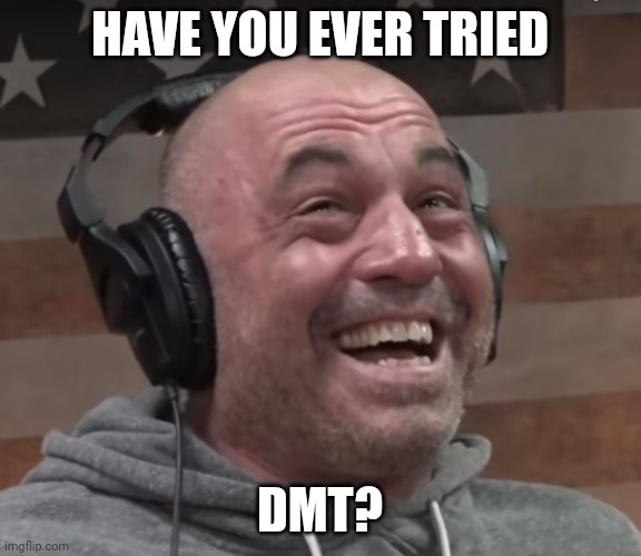 joe rogan laugh | HAVE YOU EVER TRIED DMT? | image tagged in joe rogan laugh | made w/ Imgflip meme maker