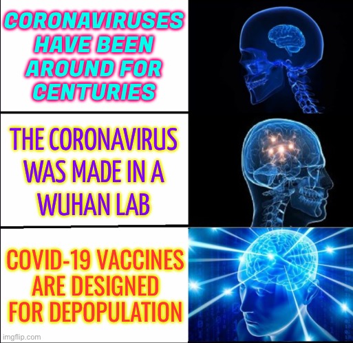 COVID-19 Vaccines Are Designed for Depopulation | CORONAVIRUSES
HAVE BEEN
AROUND FOR
CENTURIES; THE CORONAVIRUS
WAS MADE IN A
WUHAN LAB; COVID-19 VACCINES
ARE DESIGNED
FOR DEPOPULATION | image tagged in galaxy brain 3 brains,covid vaccine,covid-19,anti-vaxx,anti-overpopulation,overpopulation | made w/ Imgflip meme maker