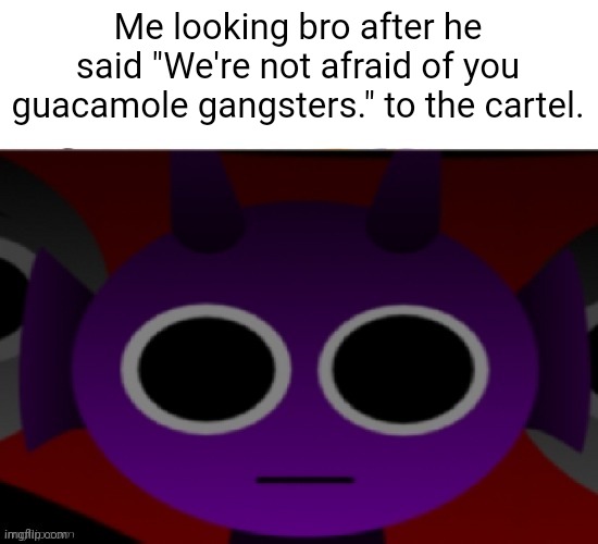 We're cooked | Me looking bro after he said "We're not afraid of you guacamole gangsters." to the cartel. | image tagged in durple stare at you without text | made w/ Imgflip meme maker