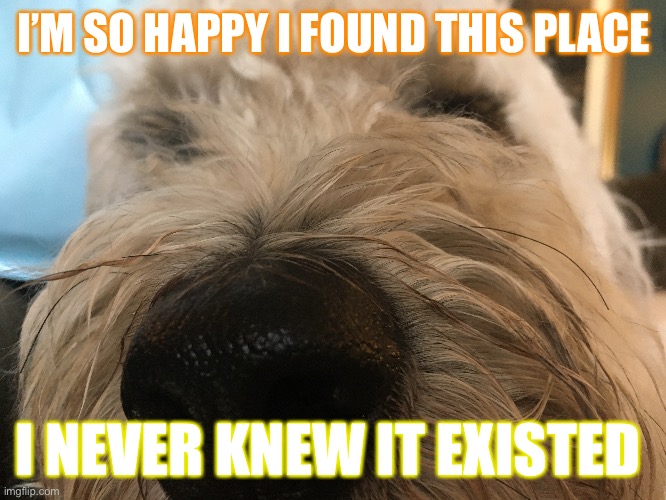 I’M SO HAPPY I FOUND THIS PLACE; I NEVER KNEW IT EXISTED | made w/ Imgflip meme maker