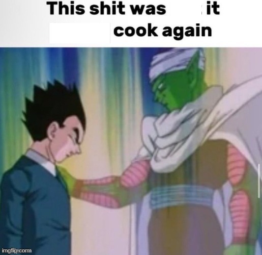 image tagged in that shit was not it never cook again | made w/ Imgflip meme maker