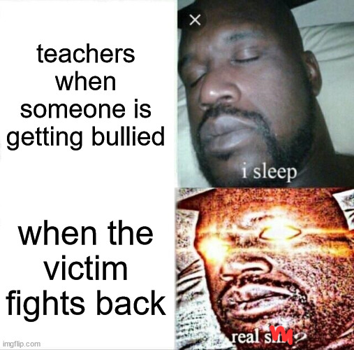 ON 3, 1, 2, 3, WE HATE THESE TYPES OF TEACHERS | teachers when someone is getting bullied; when the victim fights back | image tagged in memes,sleeping shaq | made w/ Imgflip meme maker