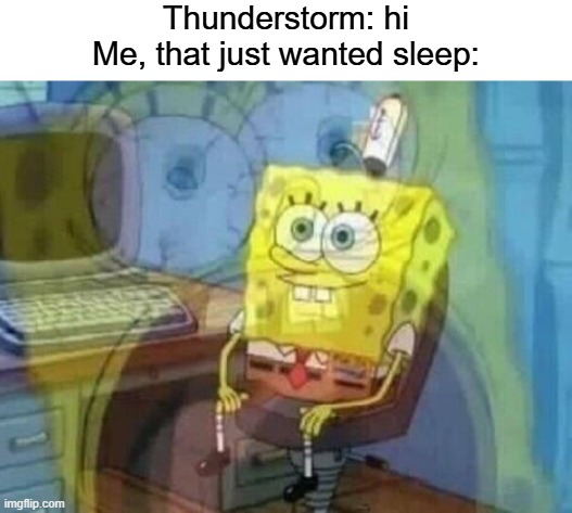 (Edit: Is over. I hate storms so much.) WHY- | Thunderstorm: hi
Me, that just wanted sleep: | made w/ Imgflip meme maker