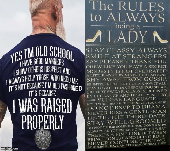 Old School Rules | ED | image tagged in traditonal values,etiquette,good manners,ladies,gentlemen,wholesome content | made w/ Imgflip meme maker