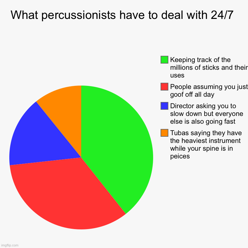 Omg my back hurts | What percussionists have to deal with 24/7 | Tubas saying they have the heaviest instrument while your spine is in peices, Director asking y | image tagged in charts,pie charts | made w/ Imgflip chart maker