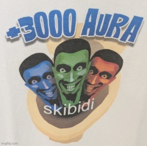 +3000 skibidi aura | image tagged in 3000 skibidi aura | made w/ Imgflip meme maker