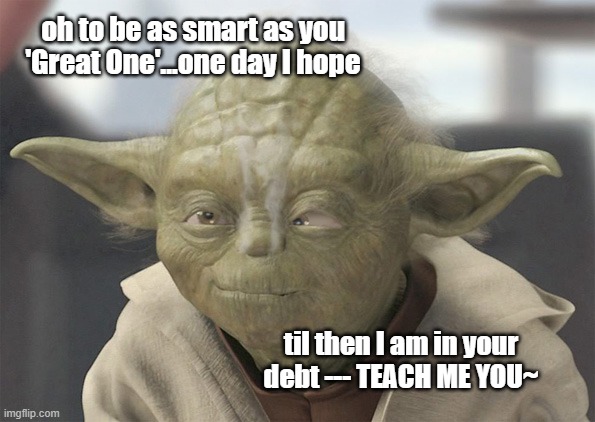 Yoda You | oh to be as smart as you 'Great One'...one day I hope; til then I am in your debt --- TEACH ME YOU~ | image tagged in yoda | made w/ Imgflip meme maker