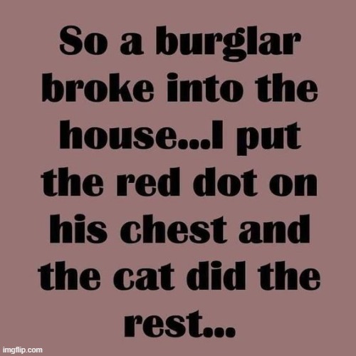 Cats Rule | image tagged in cats rule,smart cat,burglar,problem,problem solved,red dot | made w/ Imgflip meme maker