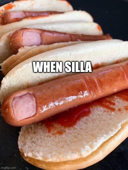Spooky Dogs | WHEN SILLA | image tagged in spooky dogs | made w/ Imgflip meme maker