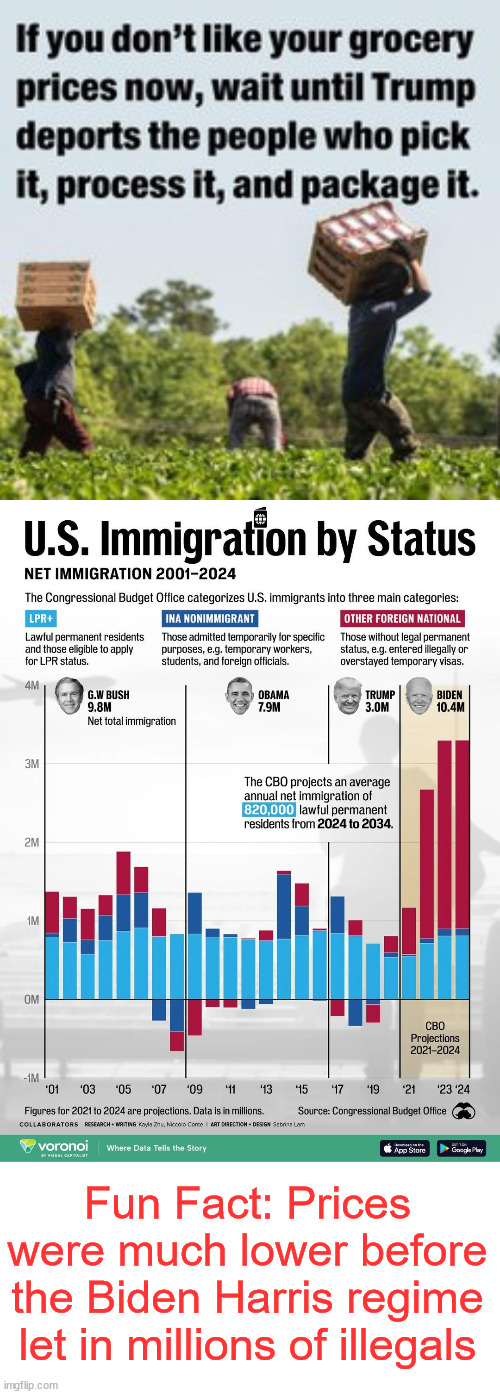 Another stupid liberal talking point debunked... | Fun Fact: Prices were much lower before the Biden Harris regime let in millions of illegals | image tagged in liberals,msm propaganda,parrots | made w/ Imgflip meme maker