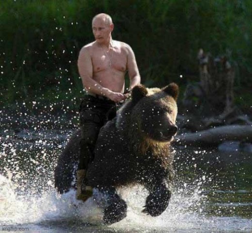 Putin Thats Cute | image tagged in putin thats cute | made w/ Imgflip meme maker