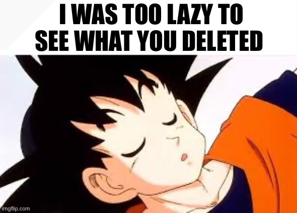 I was too lazy to see what you deleted | image tagged in i was too lazy to see what you deleted | made w/ Imgflip meme maker