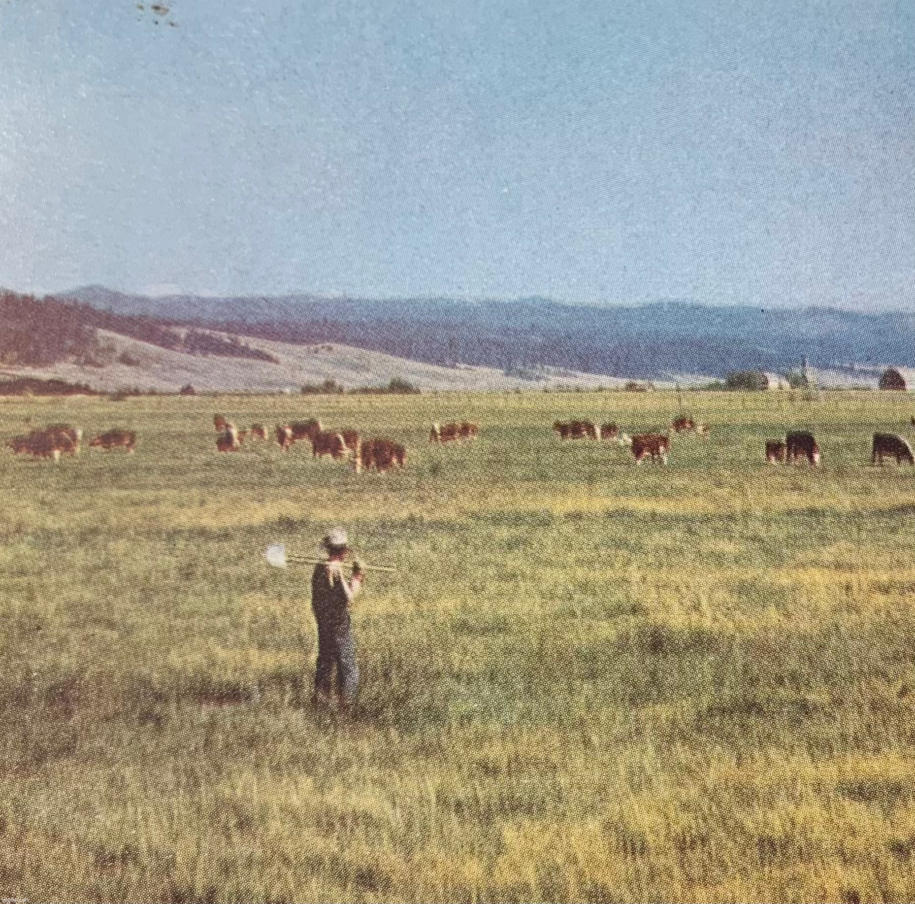This is a picture from a 1948 college textbook on grasses and agriculture | made w/ Imgflip meme maker