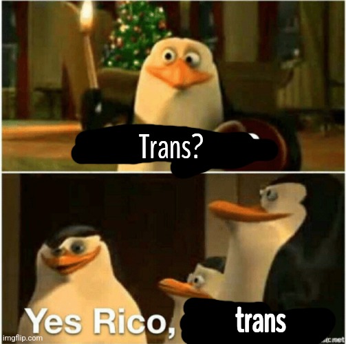 Kaboom? Yes Rico, Kaboom. | Trans? trans | image tagged in kaboom yes rico kaboom | made w/ Imgflip meme maker