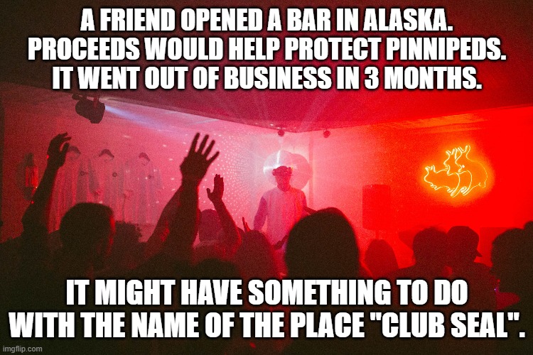 memes by Brad - My friends bar in Alaska went out of business - humor | A FRIEND OPENED A BAR IN ALASKA. PROCEEDS WOULD HELP PROTECT PINNIPEDS. IT WENT OUT OF BUSINESS IN 3 MONTHS. IT MIGHT HAVE SOMETHING TO DO WITH THE NAME OF THE PLACE "CLUB SEAL". | image tagged in funny,fun,seals,bar,humor,play on words | made w/ Imgflip meme maker