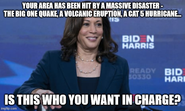 Chose wisely. | YOUR AREA HAS BEEN HIT BY A MASSIVE DISASTER - THE BIG ONE QUAKE, A VOLCANIC ERUPTION, A CAT 5 HURRICANE... IS THIS WHO YOU WANT IN CHARGE? | image tagged in harris,incompetent | made w/ Imgflip meme maker