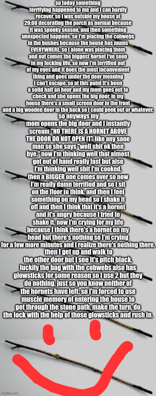 rtjjdfnhxgvjohbscgrdfjhvbfhjrfcdjlsbgjvjhbsrhdf | so today something terrifying happened to me and I can hardly recover. so I was outside my house at 20:00 decorating the porch as normal because it was spooky season, and then something unexpected happens. so I'm placing the cobwebs in the bushes because the house has mums EVERYWHERE. so I alone was placing them and out comes the biggest hornet I've seen in my fucking life. so now I'm terrified out of my eyes and it does the most inconvenient thing and goes under the door meaning I can't escape. so at this point it's been a solid half an hour and my mom goes out to check and she opens the big door. in my house there's a small screen door in the front and a big wooden door in the back so I could peek out or whatever. so anyways my mom opens the big door and I instantly scream "NO THERE IS A HORNET ABOVE THE DOOR DO NOT OPEN IT" like any sane man so she says "well shit ok then bye." now I'm thinking well that almost got out of hand really fast but also I'm thinking well shit I'm cooked. then a BIGGER one comes over so now I'm really damn terrified and so I sit on the floor to think. and then I feel something on my head so I shake it off and then I think that it's a hornet and it's angry because I tried to shake it. now I'm crying for my life because I think there's a hornet on my head but there's nothing so I'm crying for a few more minutes and I realize there's nothing there. then I get up and walk to the other door but I see it's pitch black. luckily the bag with the cobwebs also has glowsticks for some reason so I use 2 but they do nothing. just so you know neither of the hornets have left. so I'm forced to use muscle memory of entering the house to get through the stone path, make the turn, do the lock with the help of those glowsticks and rush in. | image tagged in uif,kj,h,hgh,j,k | made w/ Imgflip meme maker