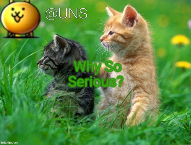 UNS Template | Why So Serious? | image tagged in uns template | made w/ Imgflip meme maker